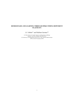 Homeostasis and Learning through Spike-Timing Dependent Plasticity