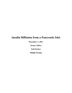 Insulin Diffusion from a Pancreatic Islet