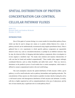 Spatial Distribution of Protein Concentration Can Control Cellular Pathway Fluxes