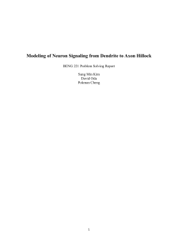 Modeling of Neuron Signaling from Dendrite to Axon Hillock
