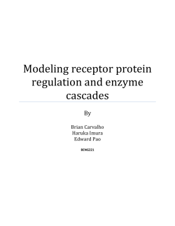 Modeling Receptor Protein Regulation and Enzyme Cascades