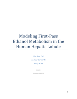 Modeling First-Pass Ethanol Metabolism in the Human Hepatic Lobule