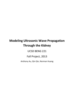 Modeling Ultrasonic Wave Propagation Through the Kidney