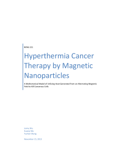 Hyperthermia Cancer Therapy by Magnetic Nanoparticles