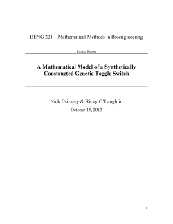 A Mathematical Model of a Synthetically Constructed Genetic Toggle Switch