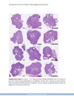 Supplementary Material