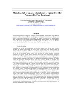 Modeling Subcutaneous Stimulation of Spinal Cord for Neuropathic Pain Treatment