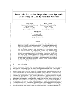 Dendritic Excitation Dependence on Synaptic Democracy in CA1 Pyramidal Neurons