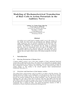 Modeling of Mechanoelectrical Transduction of Hair Cells to Action Potentials in the Auditory Nerve