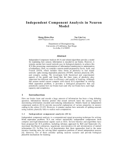 Independent Component Analysis in Neuron Model