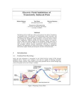 Electric Field Inhibition of Transiently Induced-Pain