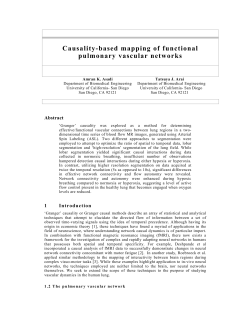 Causality-based mapping of functional pulmonary vascular networks