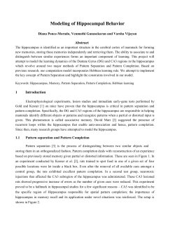 Modeling of Hippocampal Behavior during LTP