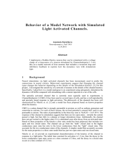 Behavior of a Model Network with Simulated Light Activated Channels