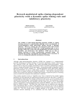 Reward-modulated spike-timing-dependent plasticity with a dynamic spike timing rule and inhibitory plasticity
