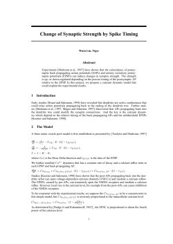 Stimulus representation by the timing of neurons