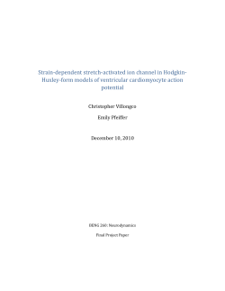 Strain-dependent stretch-activated ion channel in Hodgkin-Huxley-form models of ventricular cardiomyocyte action potential