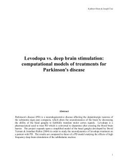 Levodopa vs. deep brain stimulation: computational models of treatments for Parkinson's disease on neuron dynamics