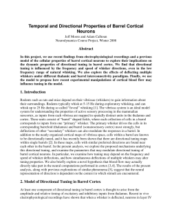 Spatiotemporal dynamics of input specificity in rat whisker barrel cortex