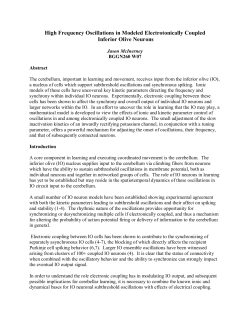 Analysis of olivary-cerebellar dynamics
