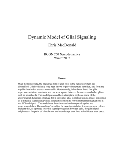 Modeling of spreading activity in an in-vitro glial network