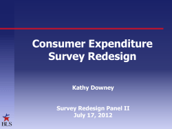 Consumer Expenditure Survey Redesign