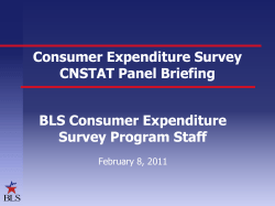 Consumer Expenditure Survey CNSTAT Panel Briefing