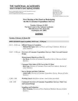 First Meeting of the Panel on Redesigning the BLS Consumer Expenditure Surveys Agenda