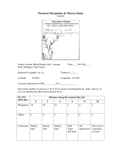 Phragmites Study