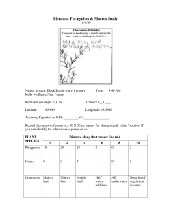 Phragmites Study