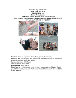 Breezy Point