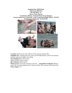 Breezy Point
