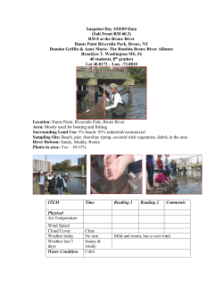 Bronx River 8