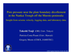 Pore pressure near the plate boundary decollement in the Nankai Trough off the Muroto peninsula: Insight from seismic velocity, logging data, and laboratory data