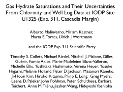 Gs Hydrate Saturations and Their Uncertainies from Chlorinity and Well Log Data at IODP Site U1325 (Exp. 311, Cascadia Margin)