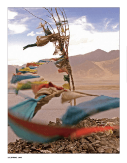 Download the PDF version of this story.