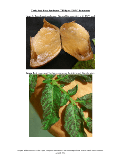 Toxic Seed Piece Syndrome