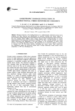 Anistropic Damage Evolution in Unidirectional Fiber Reinforced Ceramics