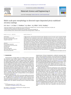 Multi-scale Pore Morphology in Vapor Deposited Yttria-Stabilized Zirconia Coatings