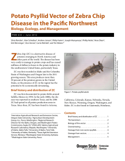 PNW 633, Potato Psyllid Vector of Zebra Chip Disease in the Pacific Northwest: Biology, Ecology, and Management