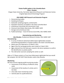 Potato psyllid update in the lower Columbia Basin and From winter to summer: Should we expect record insect outbreaks?