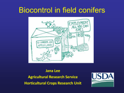 Biocontrol in Field Conifers