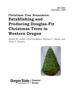 Establishing and Producing Douglas-Fir Christmas Trees in Western Oregon