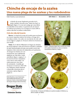Chinche de encaje de la azalea: una nueva plaga de las azaleas y los rododendros (PDF-EM9066-S).