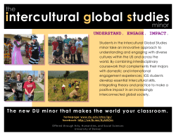 intercultural global studies (IGS) minor
