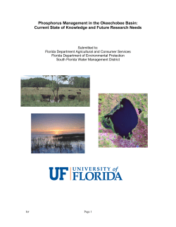 Phosphorus Management in the Okeechobee Basin: Current State of Knowledge and Future Research Needs