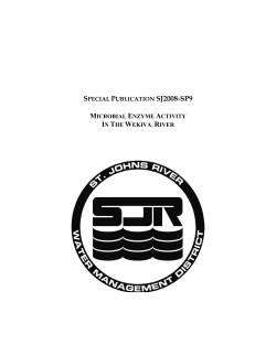 Microbial Enzyme Activity in the Wekiva River