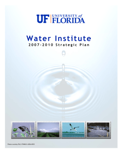 2007-2010 UF Water Institute Strategic Plan