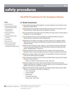 Sculpture Safety Procedures >