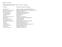 Download Now (.pdf file 2.7 MB)
